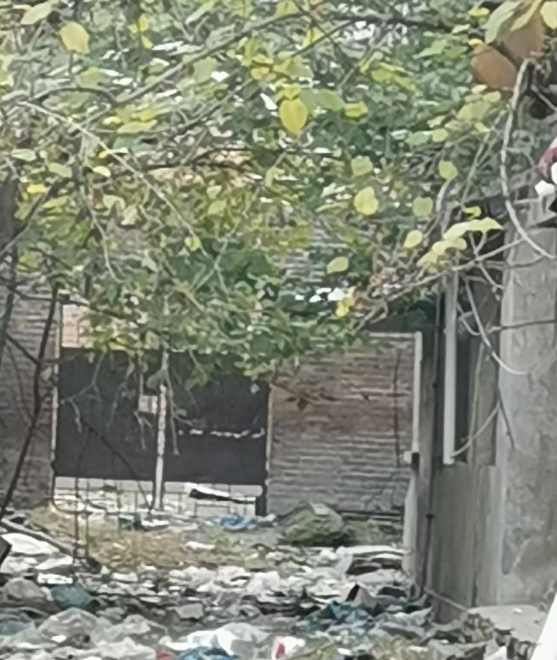 175ded450202c52483f760e1528d1fb9.jpg 175ded450202c52483f760e1528d1fb9.jpg